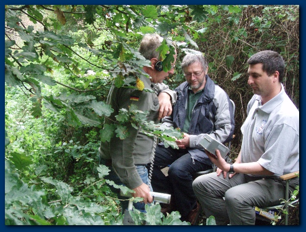 600x449 pixels (193K)